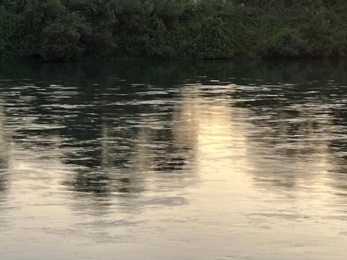 Three Bedroom River Access レディング エクステリア 写真